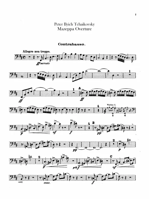 Basses