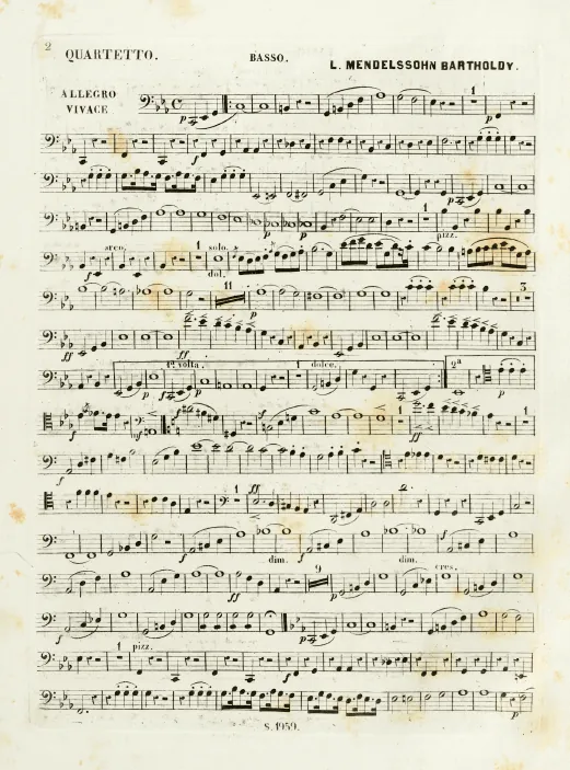 Cello