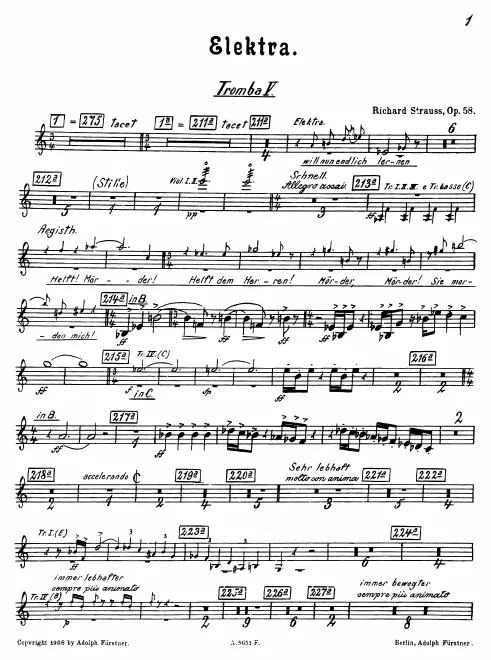 Trumpet 5