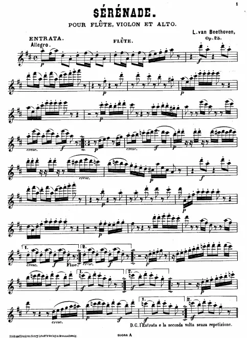 Flute