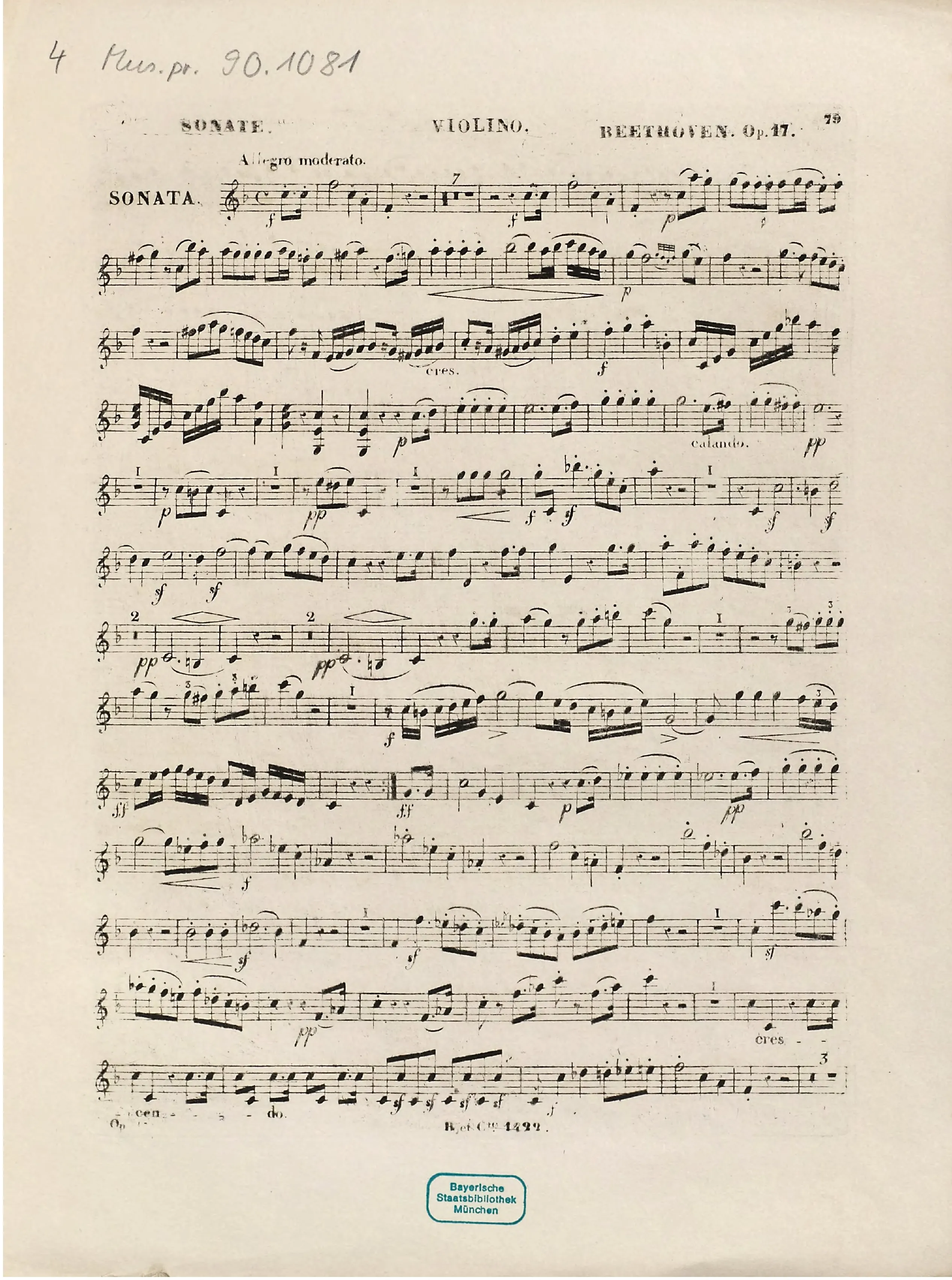 Violin