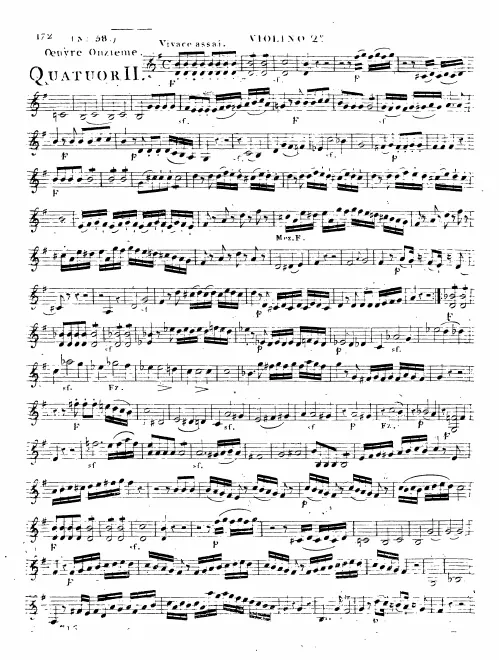 Violin 2