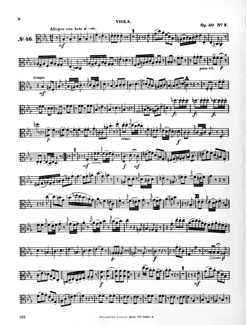 Viola