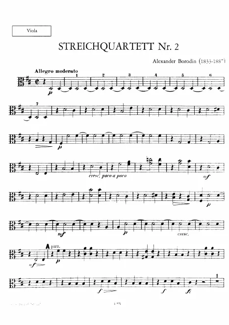 Viola