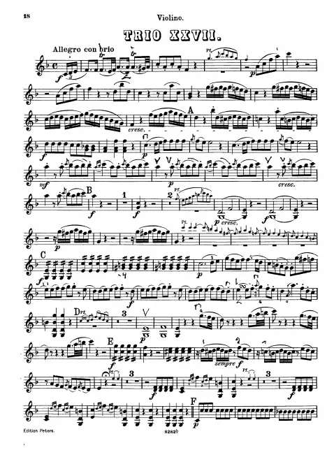 Violin