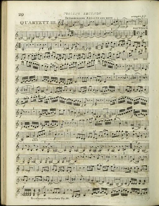 Violin 2