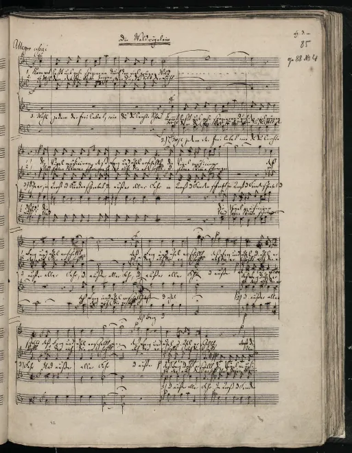 4. Die Waldvögelein