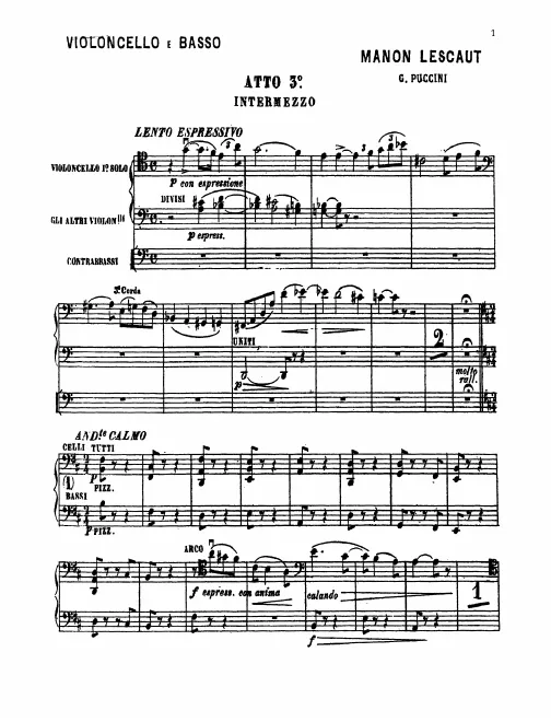 Cellos / Basses