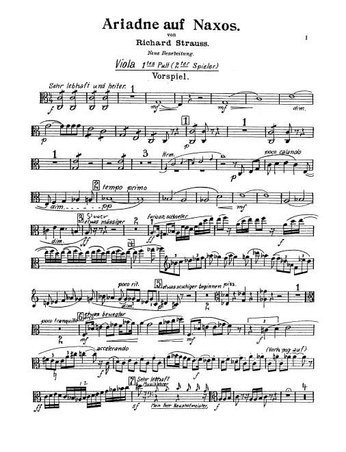 Viola 1 (Player 2)