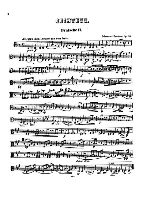 Viola 2
