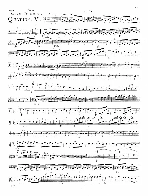 Viola