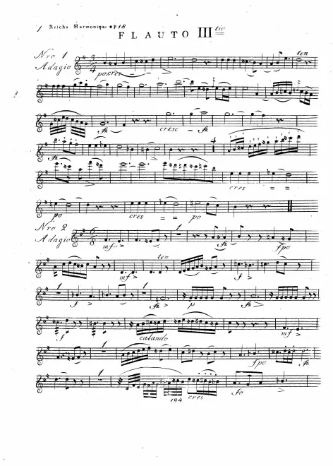 Flute 3
