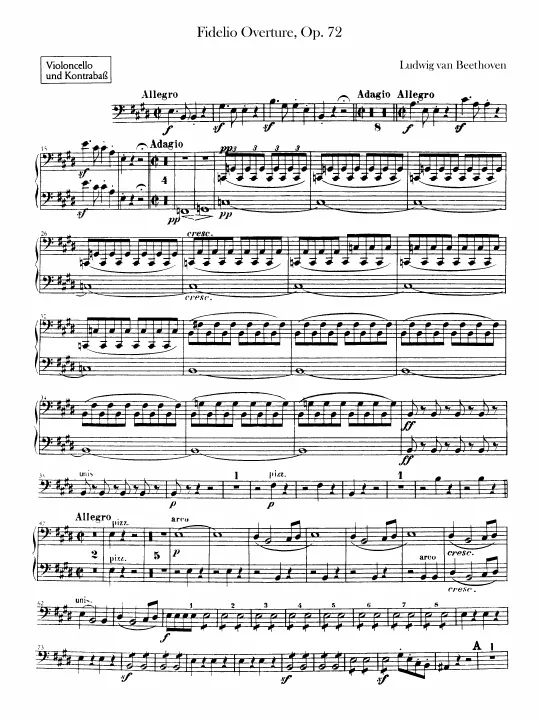 Cellos/Basses