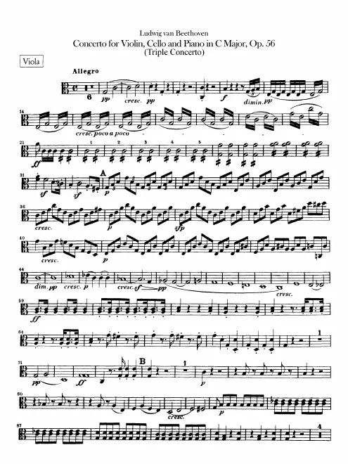 Violas