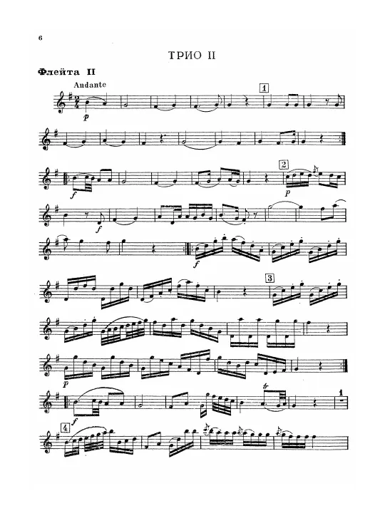Flute 2