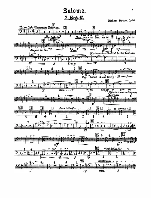 Bassoon 2