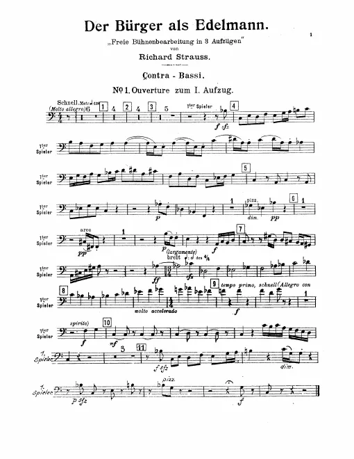 Double Bass (Player 1/2)