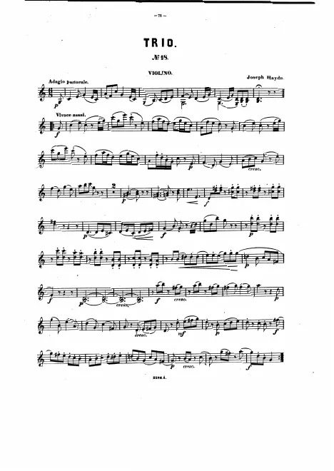 Violin