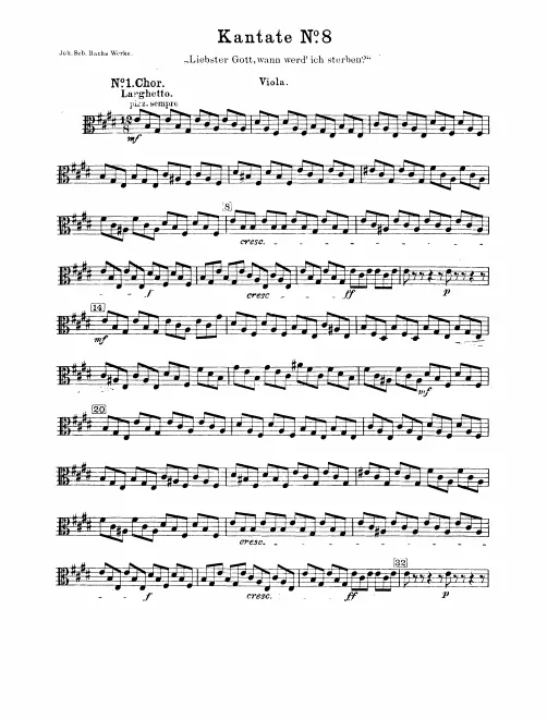 Violas