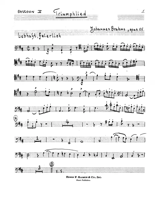Bassoon 2