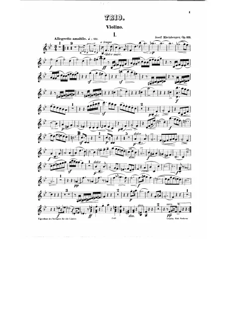 Violin