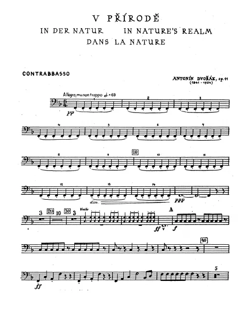 Basse