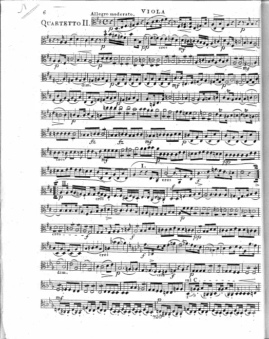 Viola