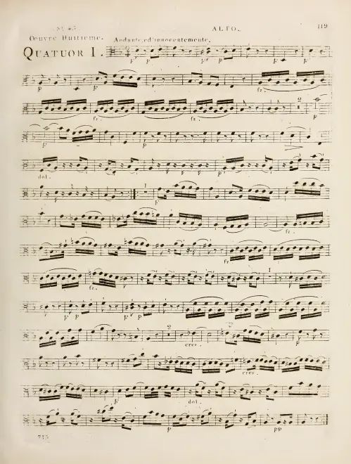 Viola