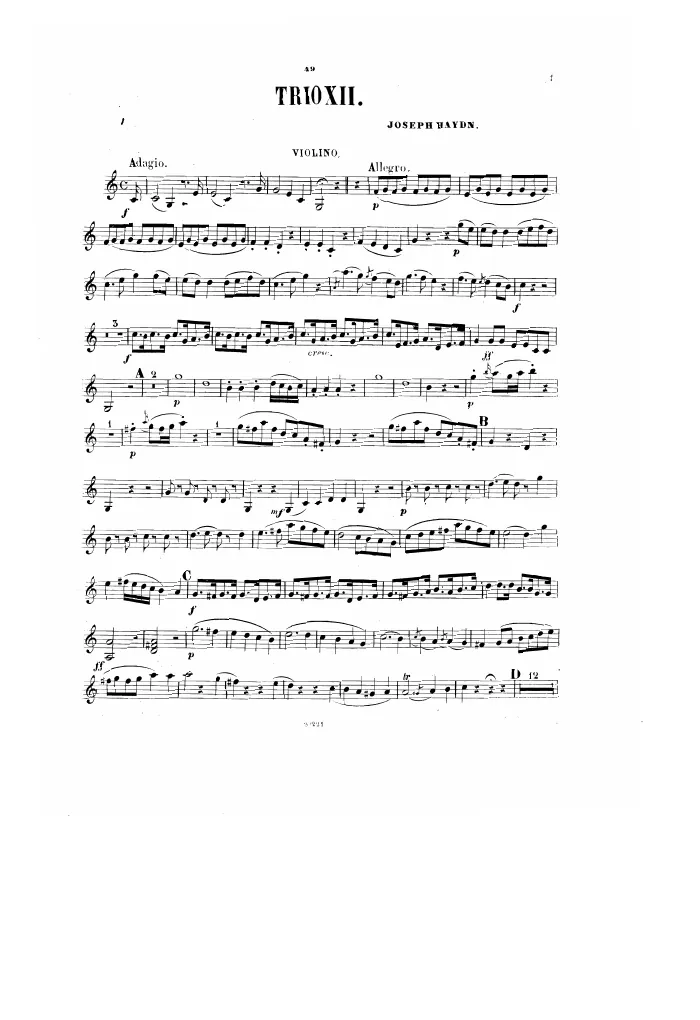 Violin