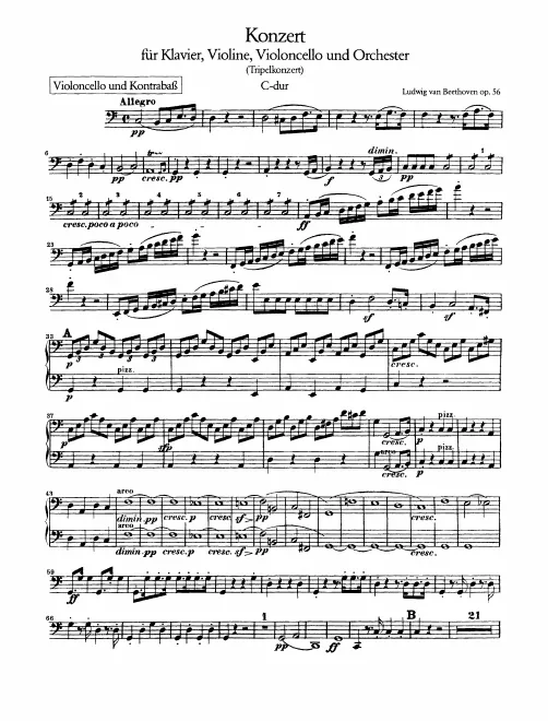 Cellos/Basses