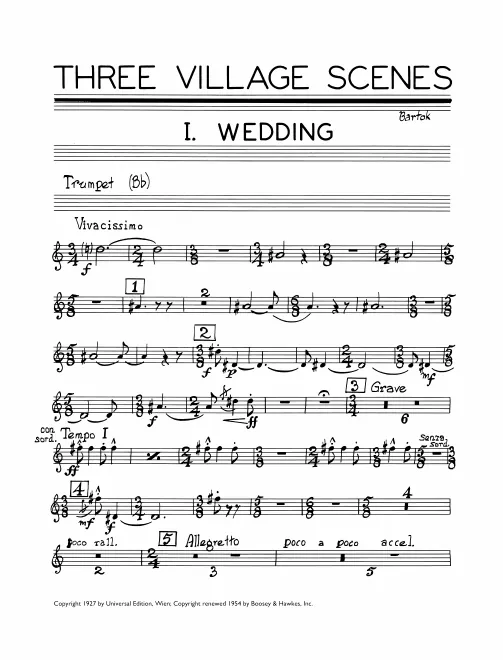 Trumpet (B)
