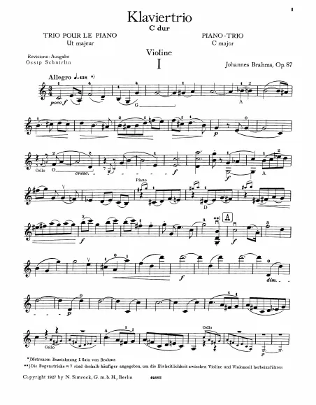 Violin