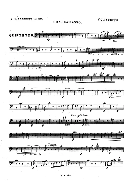 Double Bass