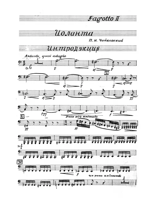 Bassoon 2