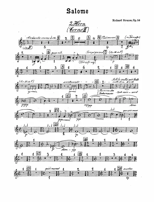 Horn 2