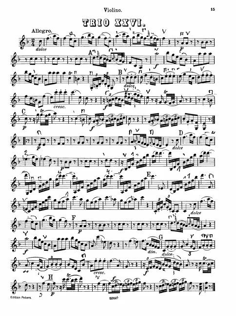 Violin