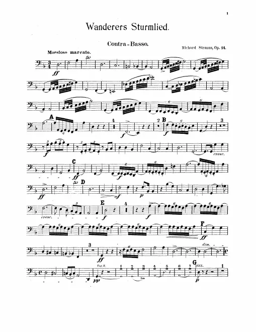 Basses