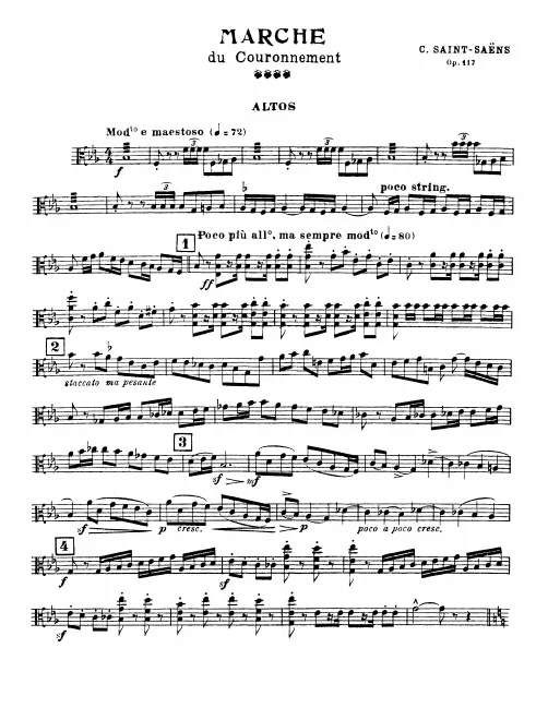 Violas