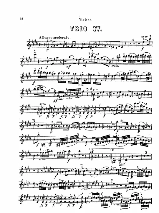 Violin