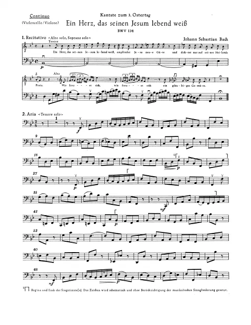 Continuo (Cellos/Basses)