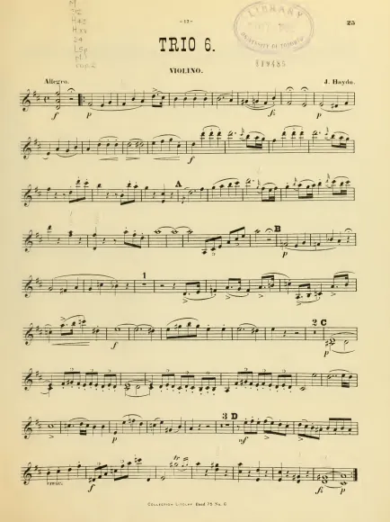 Violin