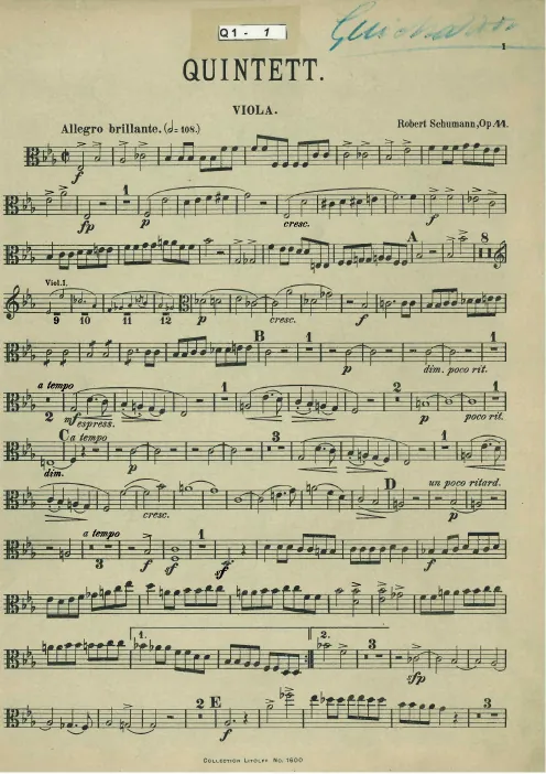 Viola