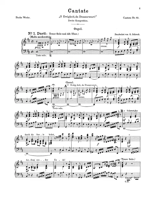 Organ
