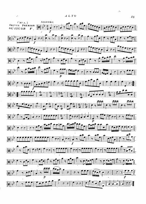 Viola