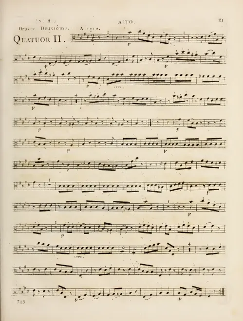 Viola