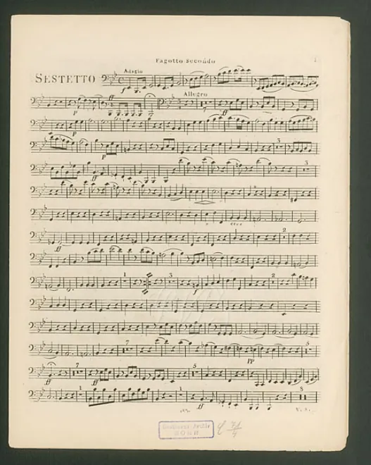 Bassoon 2
