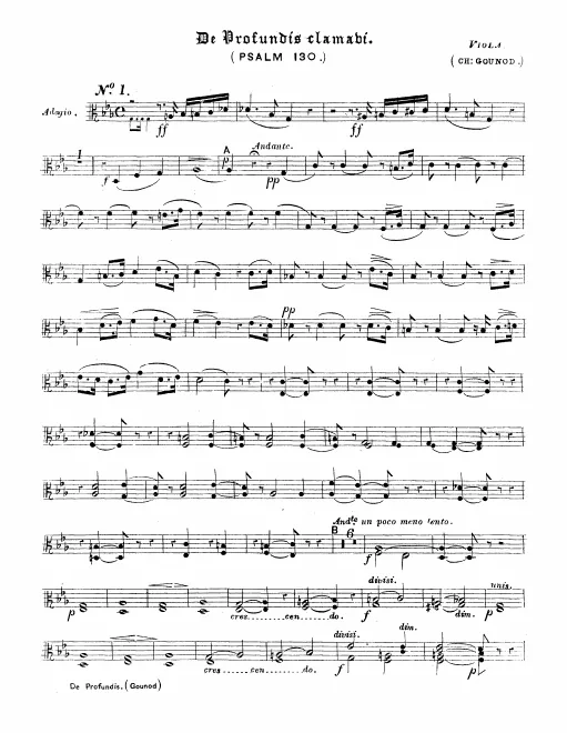 Violas