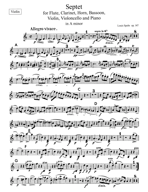 Violin