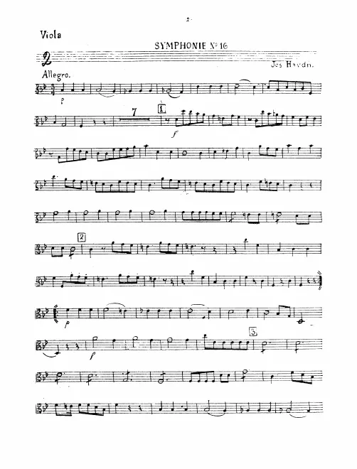 Violas