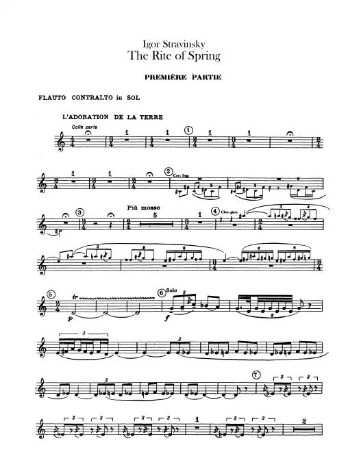 Alto Flute (G)